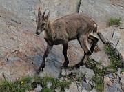 RIF.BENIGNI con CIMA PIAZZOTTI- VALPIANELLA ad anello, salito dalla Val Salmurano e disceso dalla Valpianella il 3 ott. 2019 - FOTOGALLERY